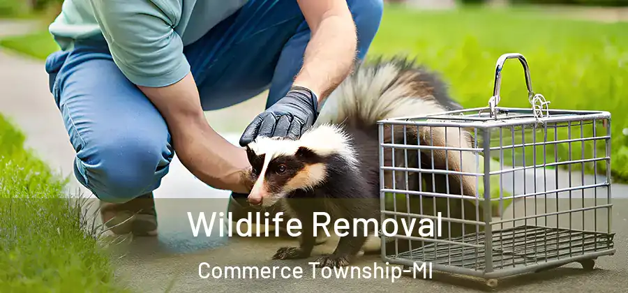  Wildlife Removal Commerce Township-MI