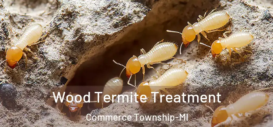  Wood Termite Treatment Commerce Township-MI