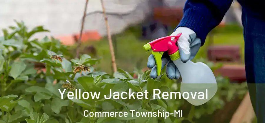 Yellow Jacket Removal Commerce Township-MI